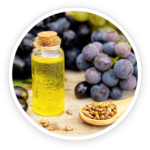 Grape Seed Extract