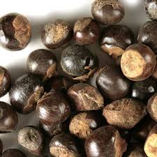 Guarana Seed