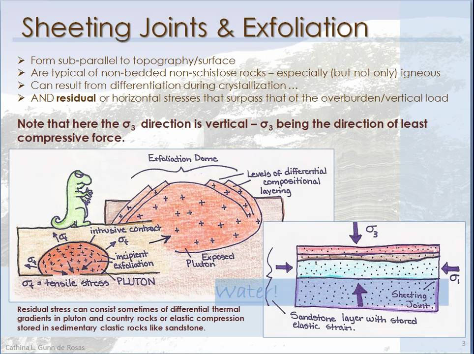 joint genesis